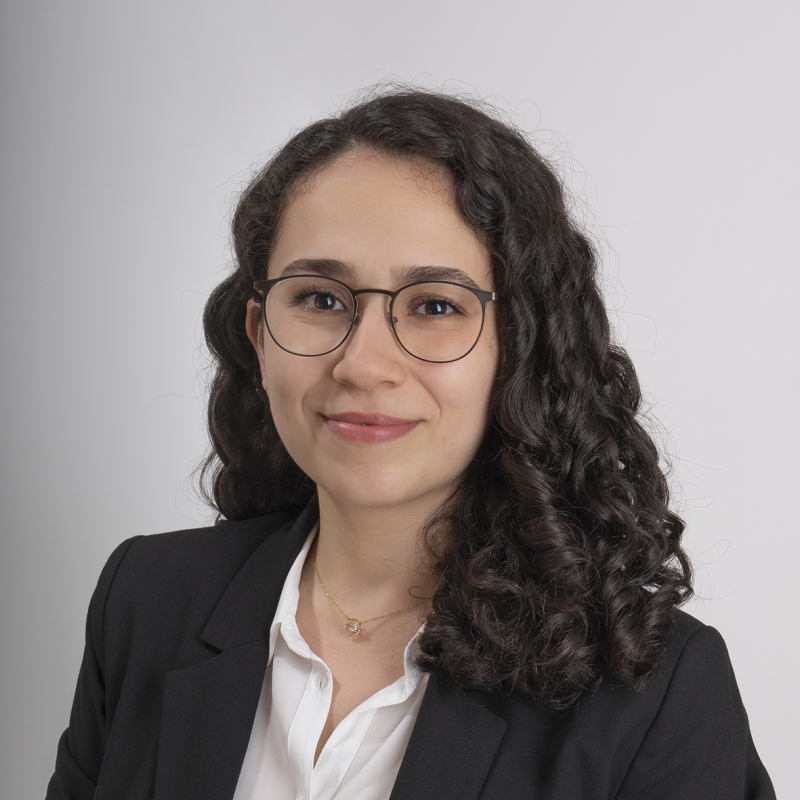M.A. HSG in Law  Selin Ickin